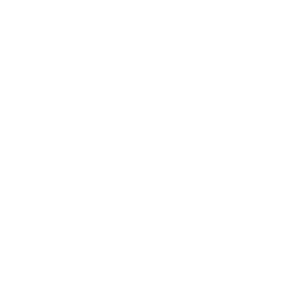 Lord Hayagriva Sacred Multi-Armed Icon